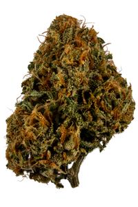 Strawberry Banana Sherbet - Hybrid Cannabis Strain by Hytiva Strawberry Banana Sherbet - Hybrid Cannabis Strain